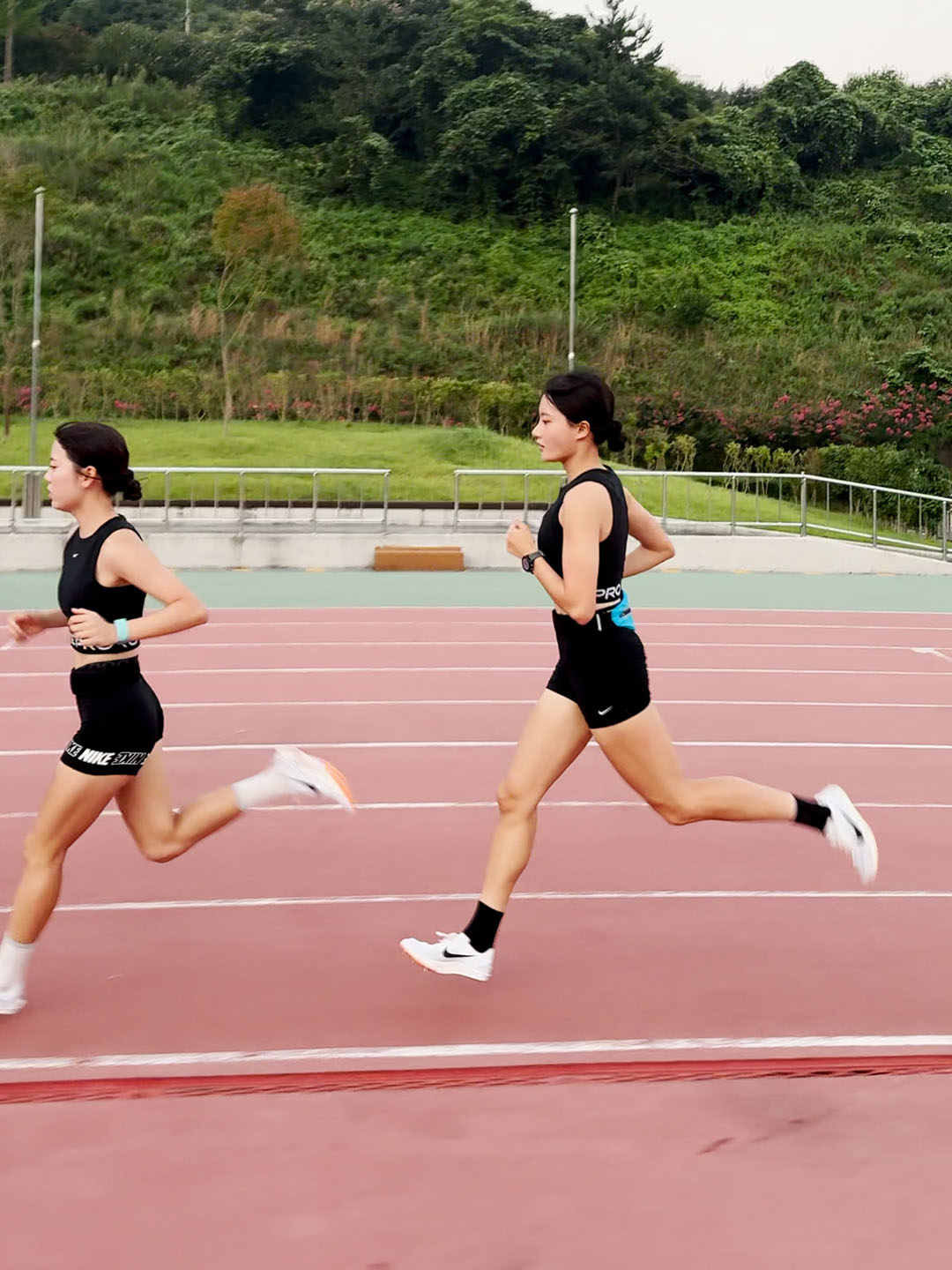 RUNNING BELT (BASIC)