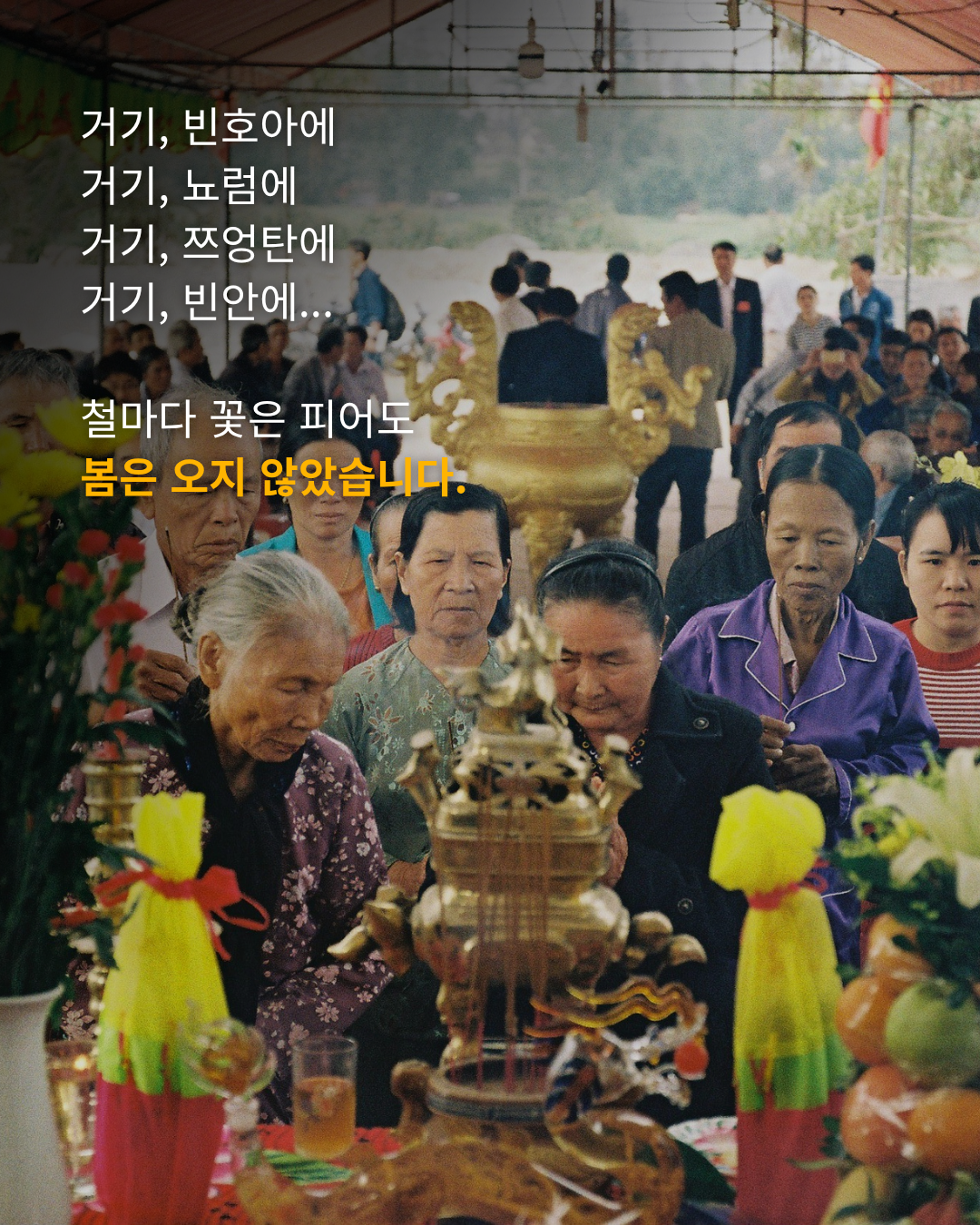 20d5b63a39552.png