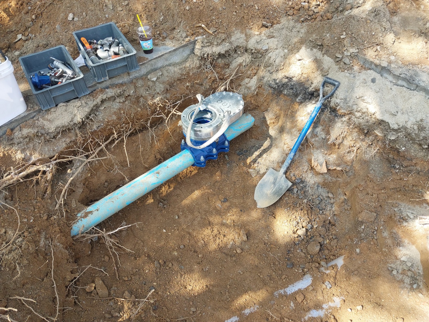 4d282ec12a537.jpg