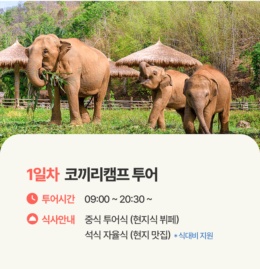 [4박6일] 치앙마이 베스트 투어