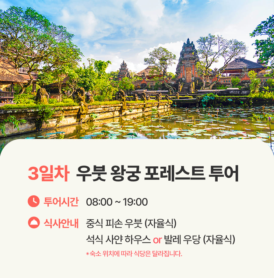 [2박5일] 발리 비지투어