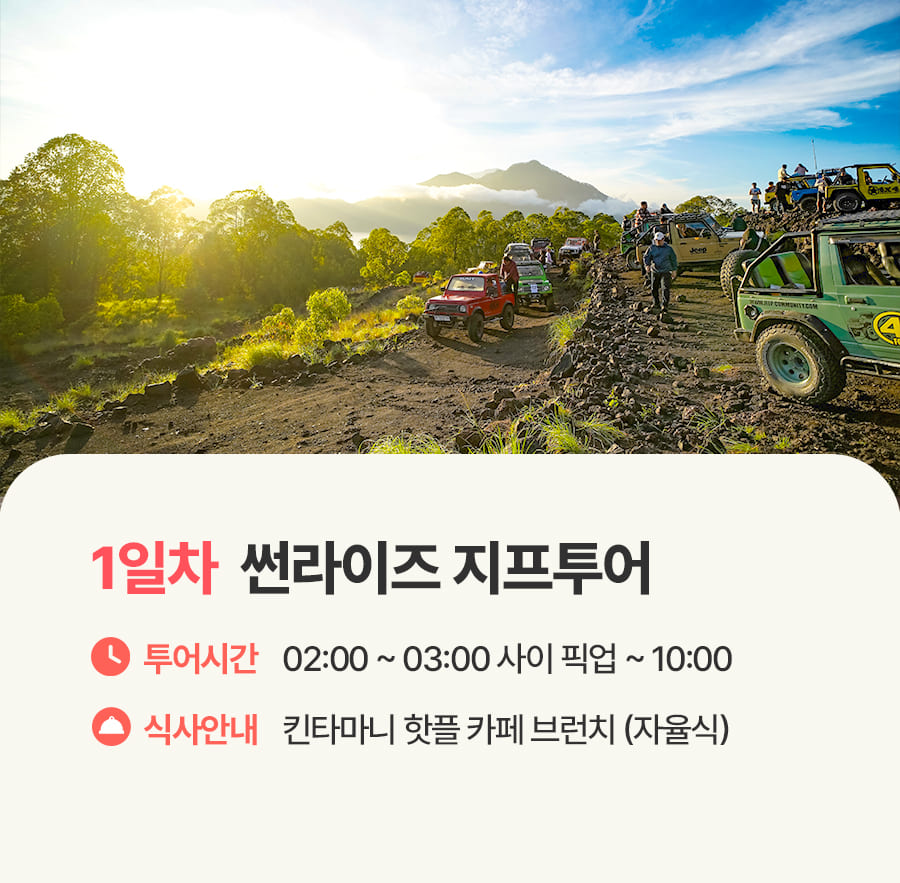 [2박5일] 발리 비지투어