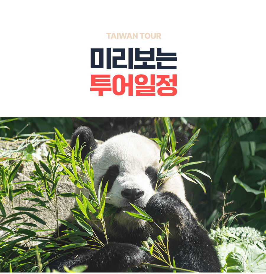 [1일] 발리 우붓 왕궁 포레스트 투어
