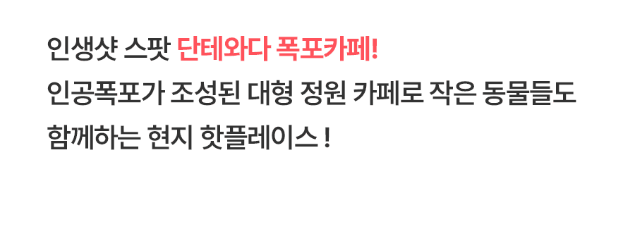 [1일] 치앙마이 코끼리캠프 당일투어