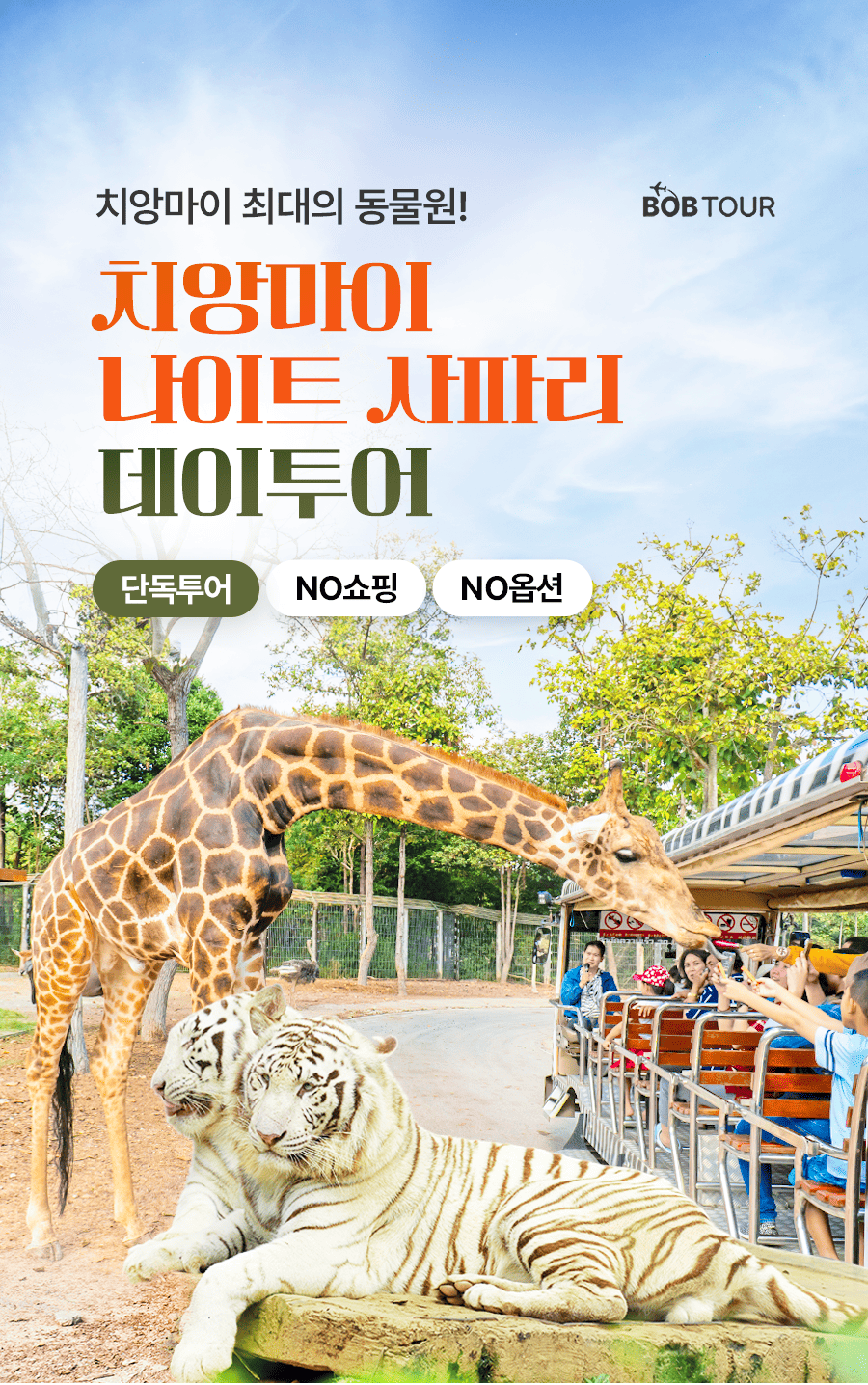 [1일] 치앙마이 나이트 사파리투어
