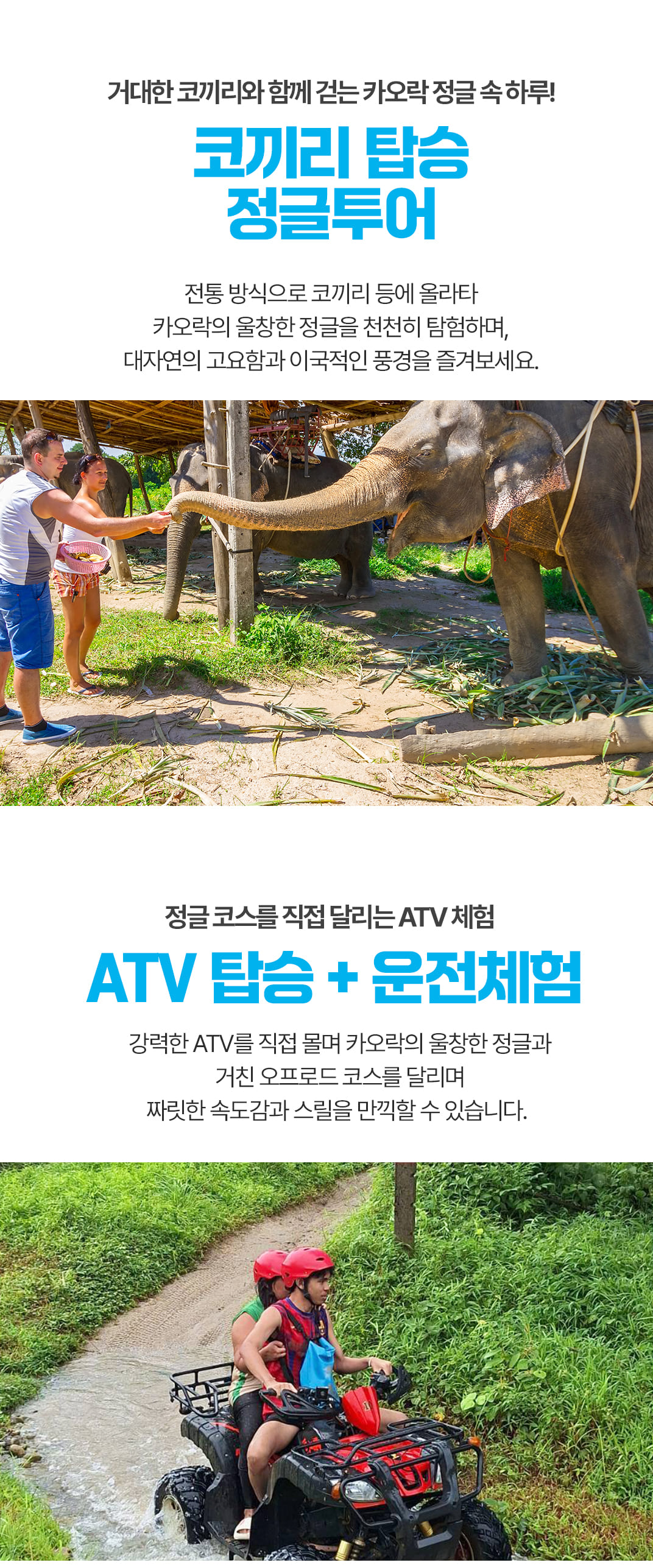 [3박5일][비오비한정] 푸켓 정글포인트 투어