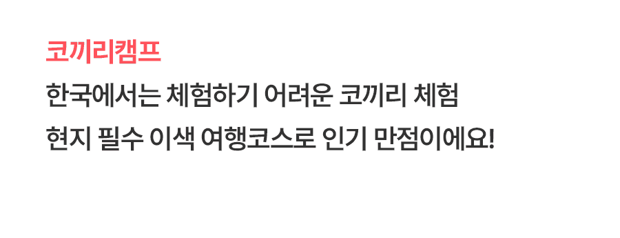 [4박6일] 치앙마이 베스트 투어