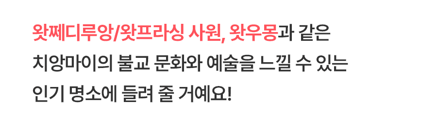 [1일] 치앙마이 나이트 사파리투어