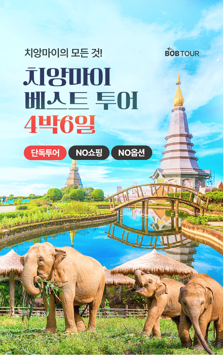 [4박6일] 치앙마이 베스트 투어