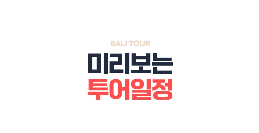 [2박5일] 발리 비지투어