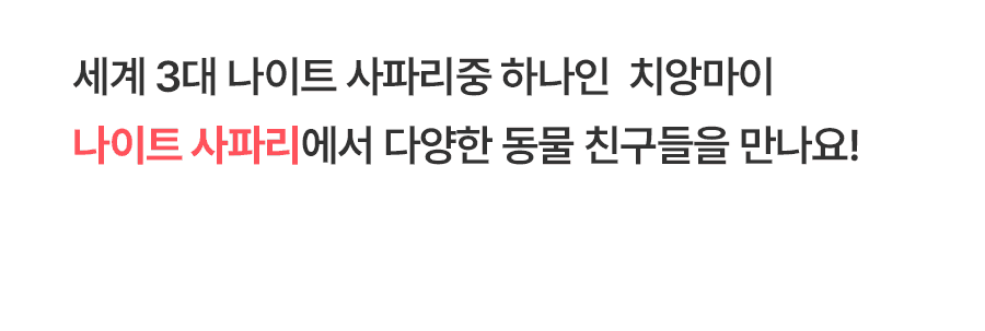 [1일] 치앙마이 나이트 사파리투어