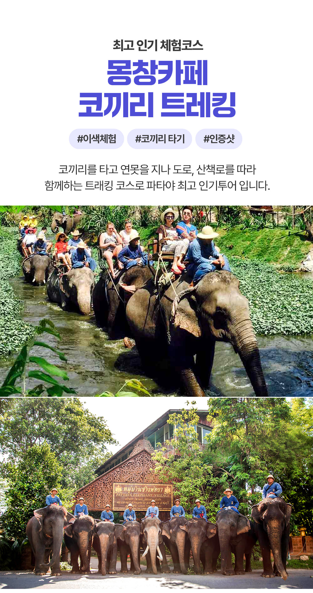 [3박5일] 방콕&파타야 베스트 투어