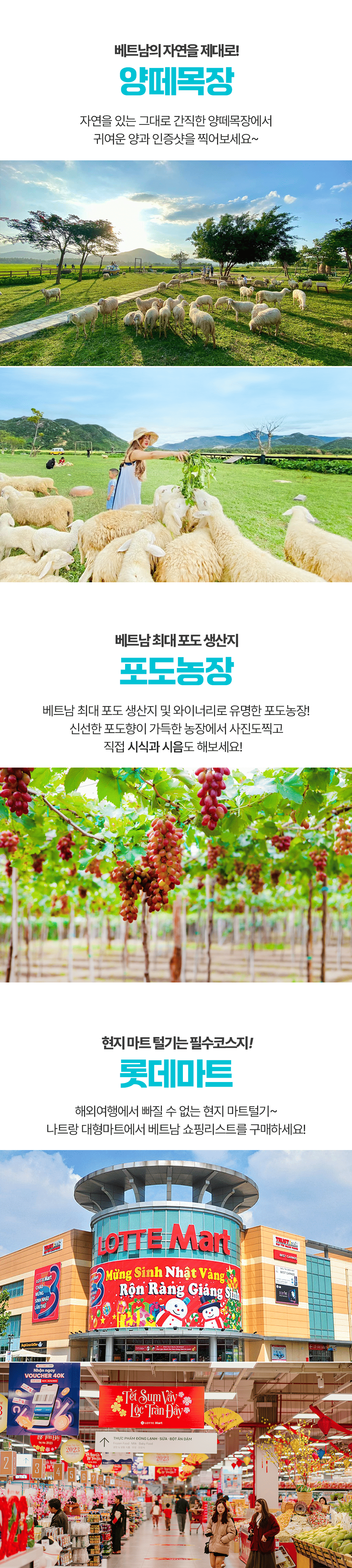 [3박5일] 나트랑 베스트투어