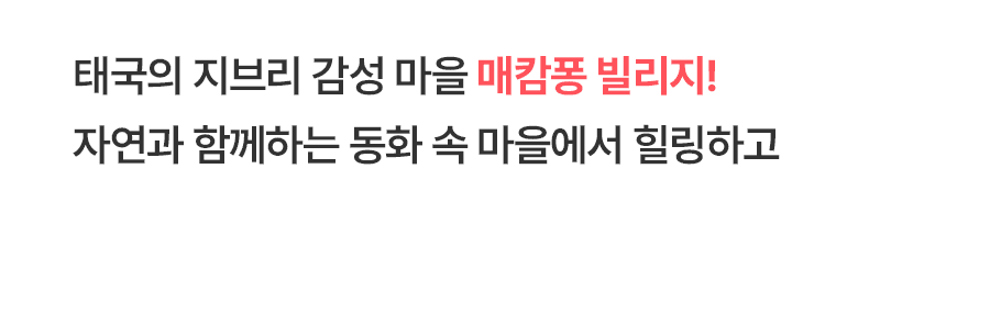 [4박6일] 치앙마이 베스트 투어