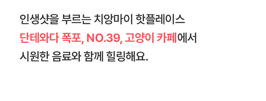 [3박5일] 치앙마이 핫플레이스 투어