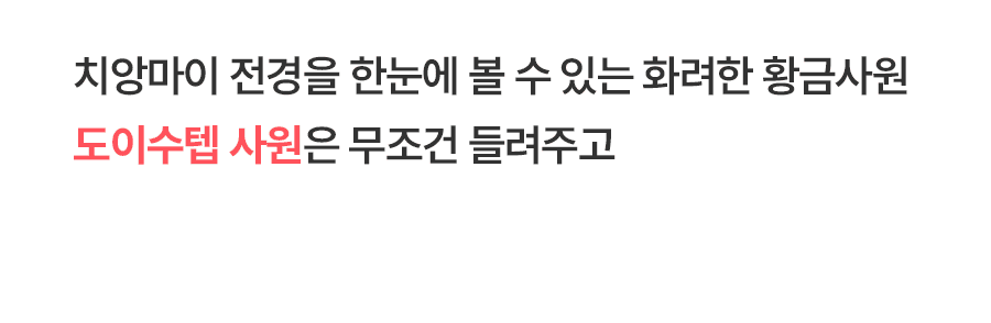 [4박6일] 치앙마이 베스트 투어