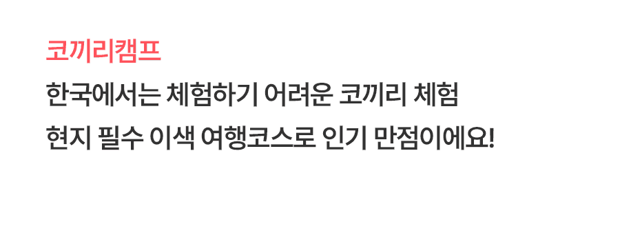 [3박5일] 치앙마이 베스트 투어