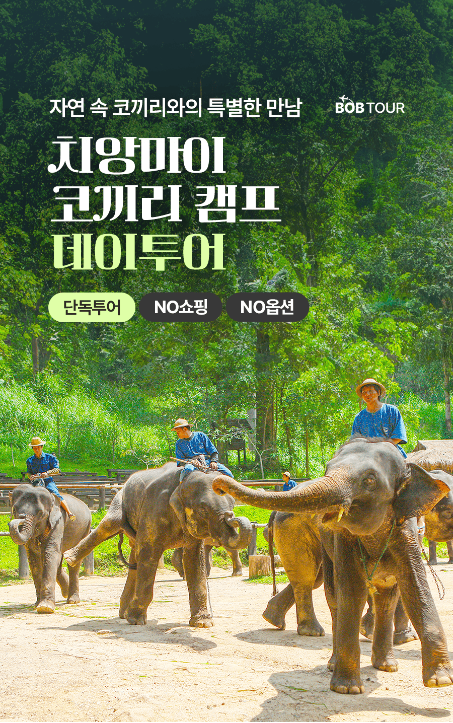 [1일] 치앙마이 나이트 사파리투어