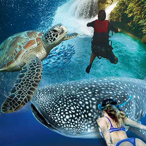 오슬롭/캐녀닝/모알보알