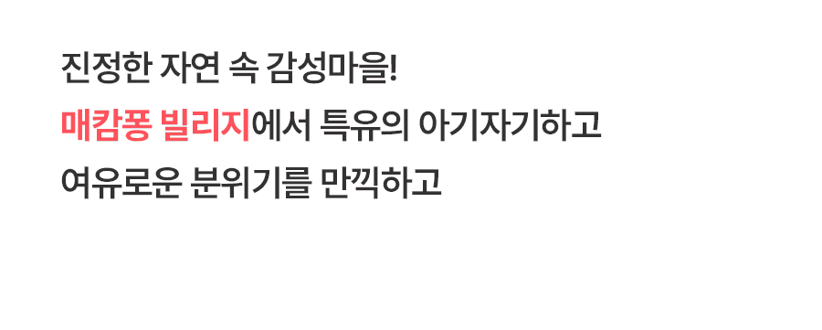 [1일] 치앙마이 매캄퐁빌리지