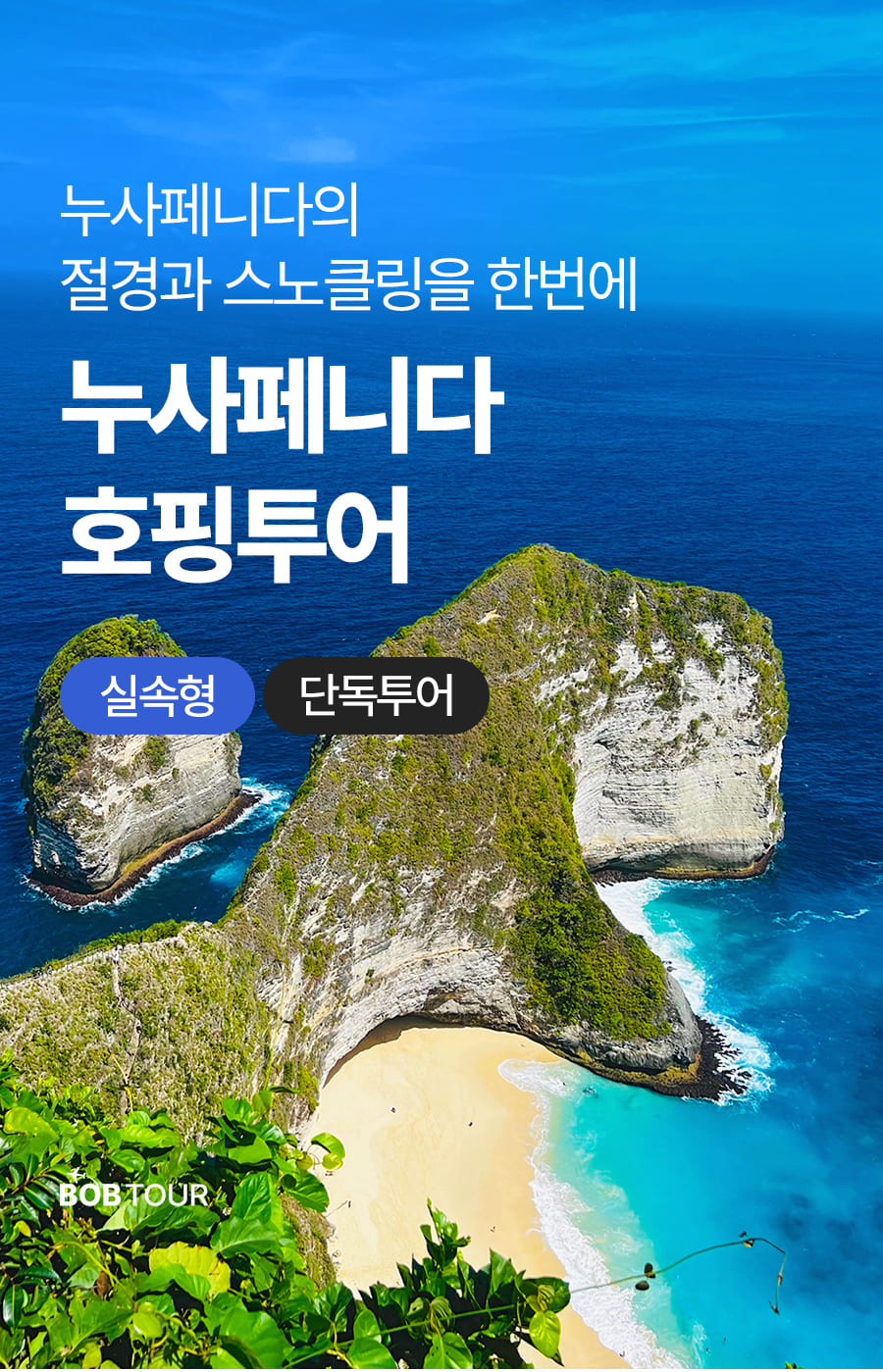 [1일] 발리 누사페니다 호핑투어(실속형)