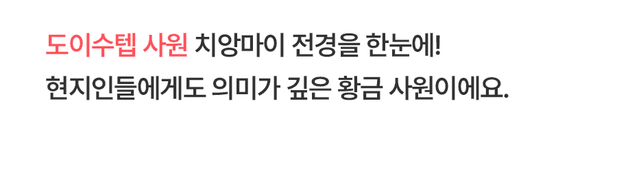 [3박5일] 치앙마이 베스트 투어