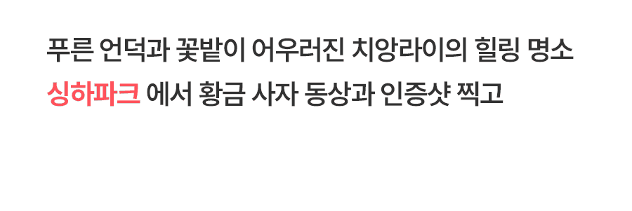 [1일] 치앙라이 데이투어