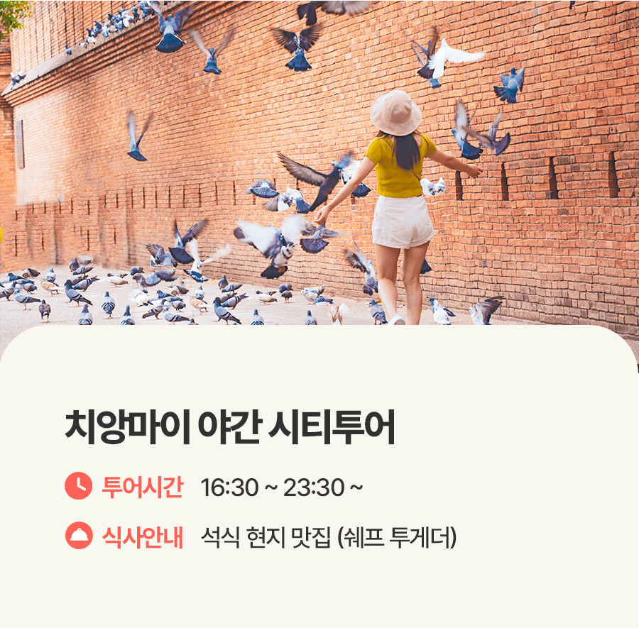 [1일] 치앙마이 야간 시티투어