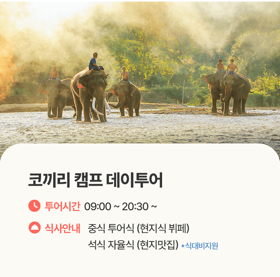 [1일] 치앙마이 코끼리캠프 당일투어