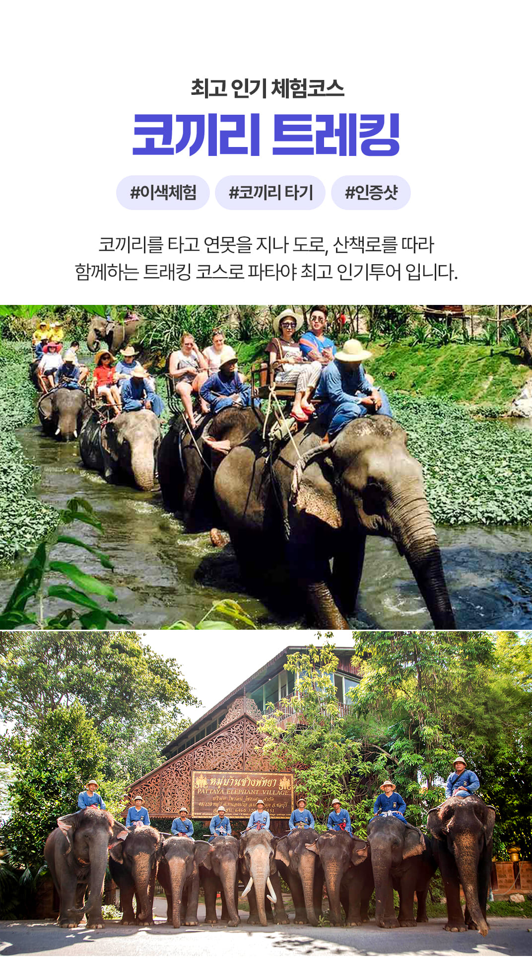 [1일] 파타야 데이투어