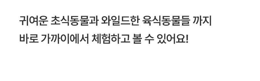 [1일] 치앙마이 나이트 사파리투어