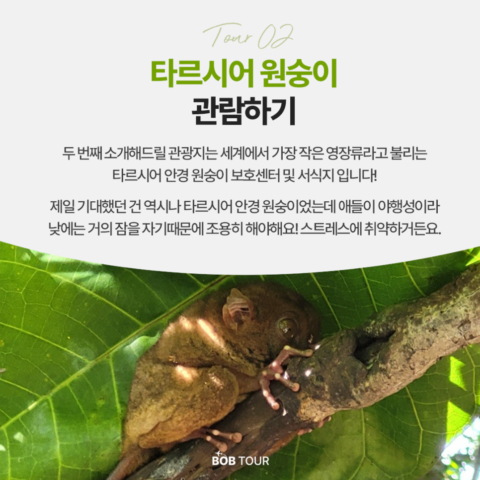 cba4820ada257.png