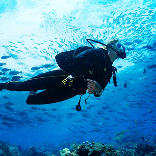 스쿠버다이빙
