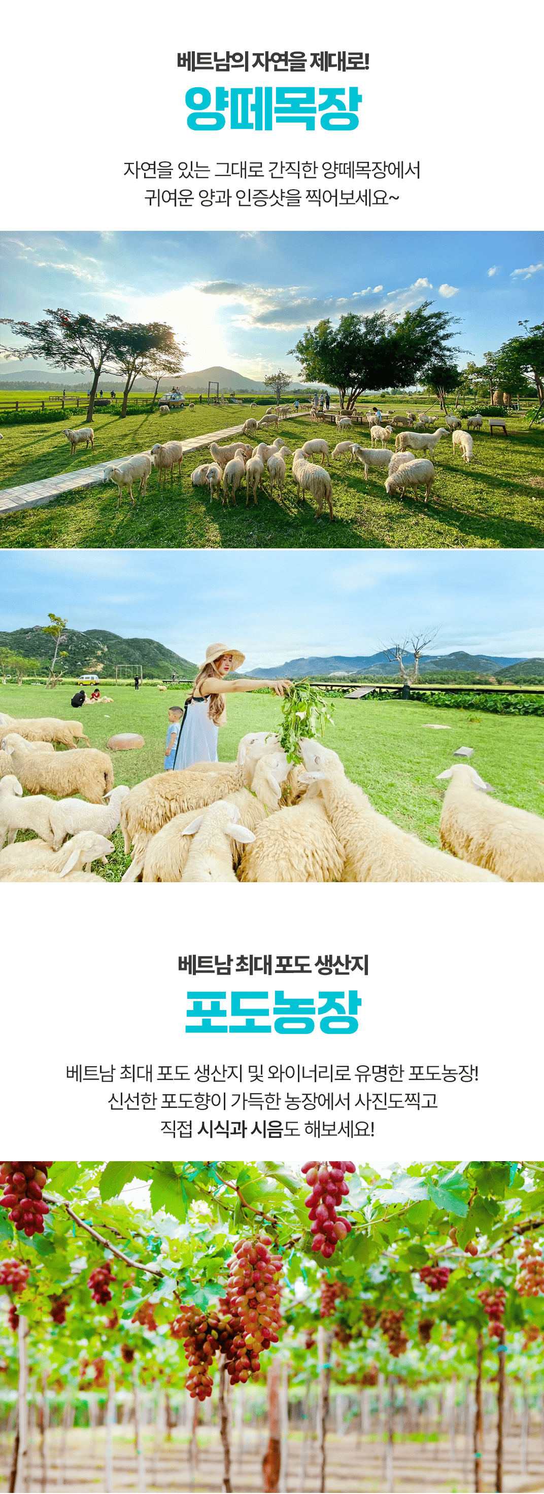 [3박5일] 나트랑 베스트투어