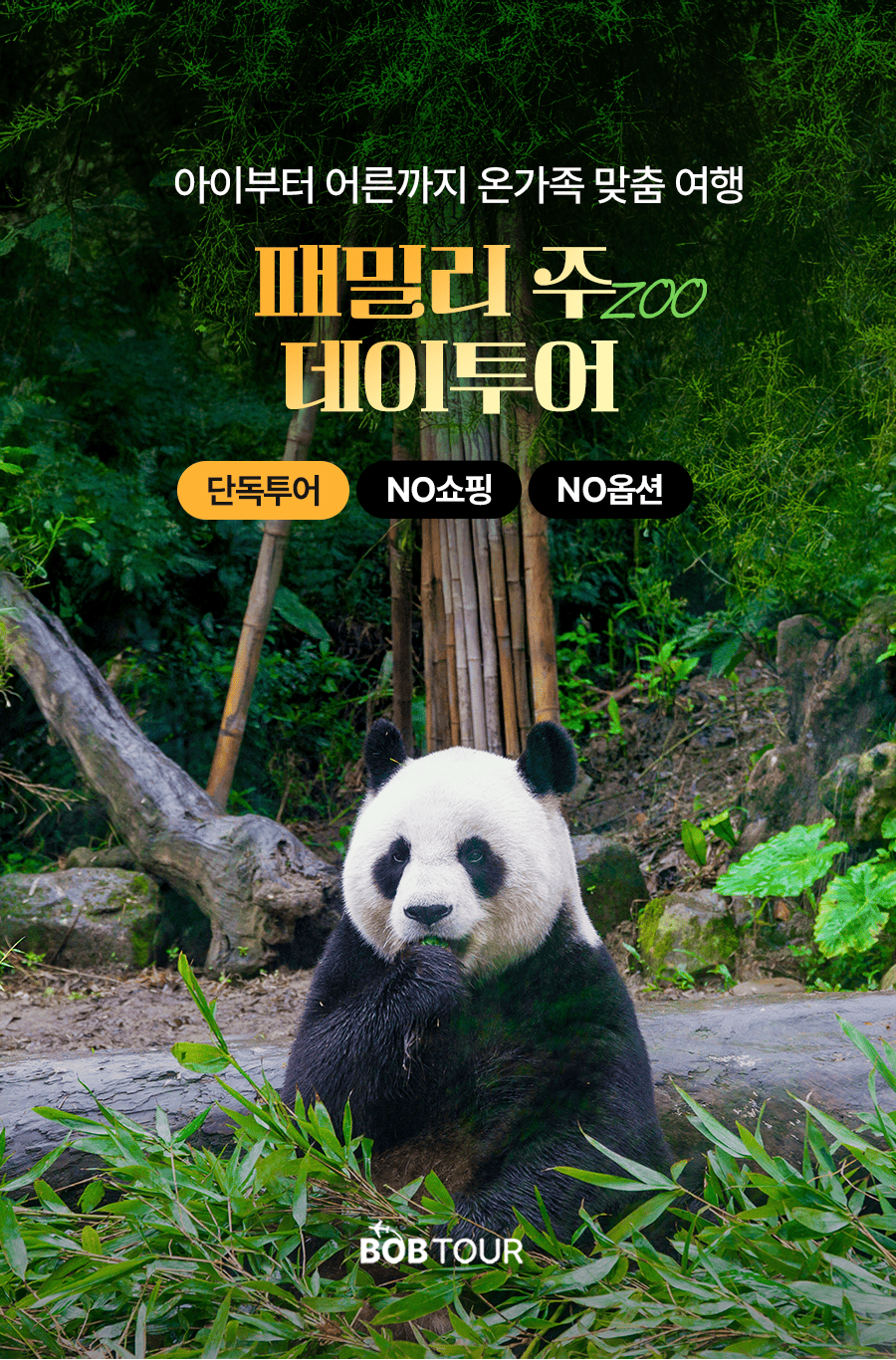 [1일] 발리 우붓 왕궁 포레스트 투어