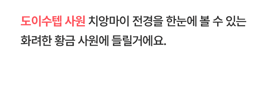 [3박5일] 치앙마이 핫플레이스 투어