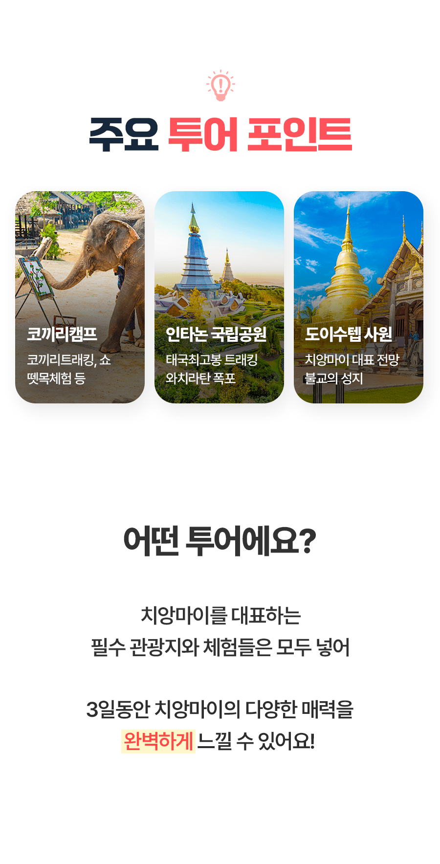 [3박5일] 치앙마이 베스트 투어