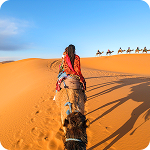 몽골남고비베스트 5박6일