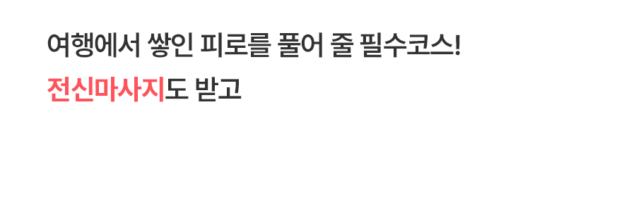[1일] 치앙마이 코끼리캠프 당일투어