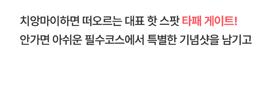 [1일] 치앙마이 야간 시티투어