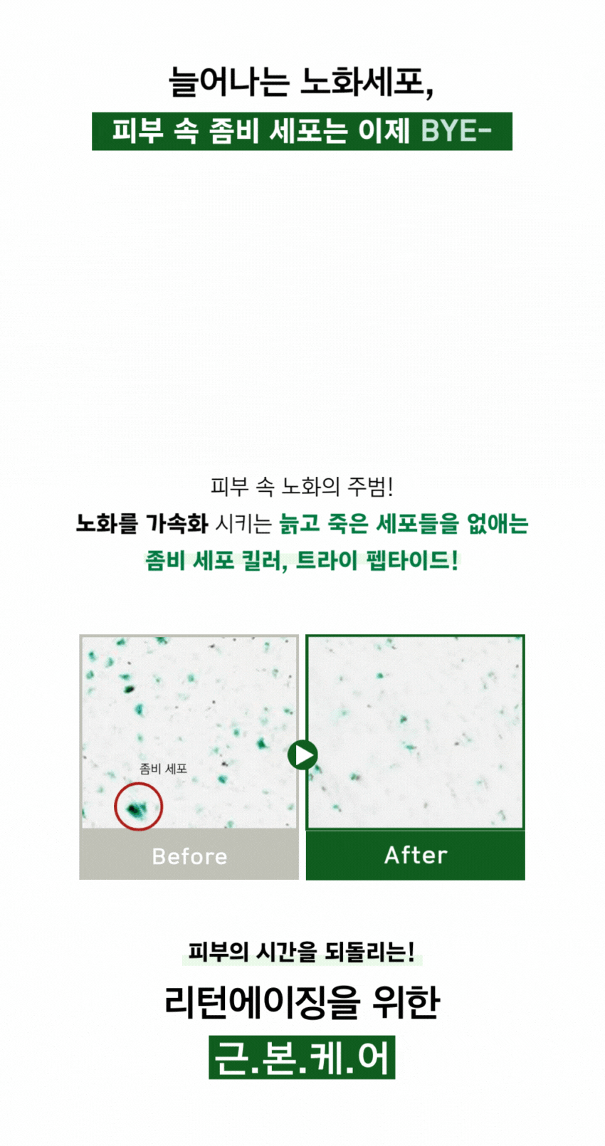 [06월 피부PT 루틴] 02 시카·티트리 앰플 50ml + 06 콜라겐 모공 타이트닝 앰플 50ml(+토너패드 + 세라마이드크림 본품 증정)
