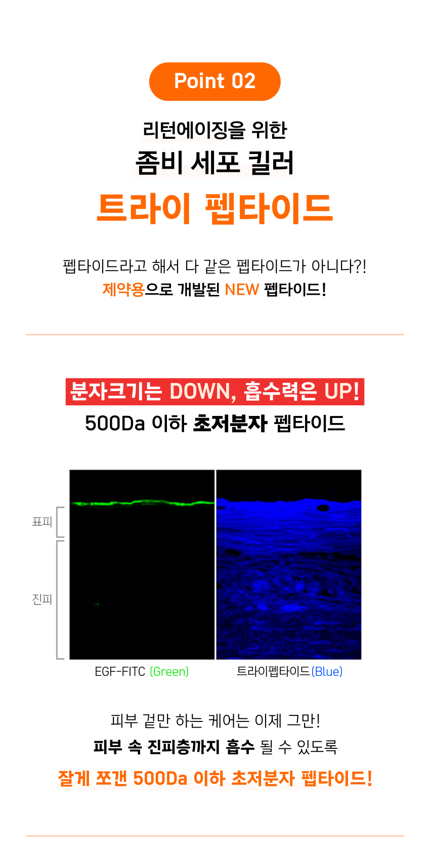 [1+1 더블기획] 07 세라마이드-장벽 크림 | 피부장벽·보습·보호막 | 150mlx2개