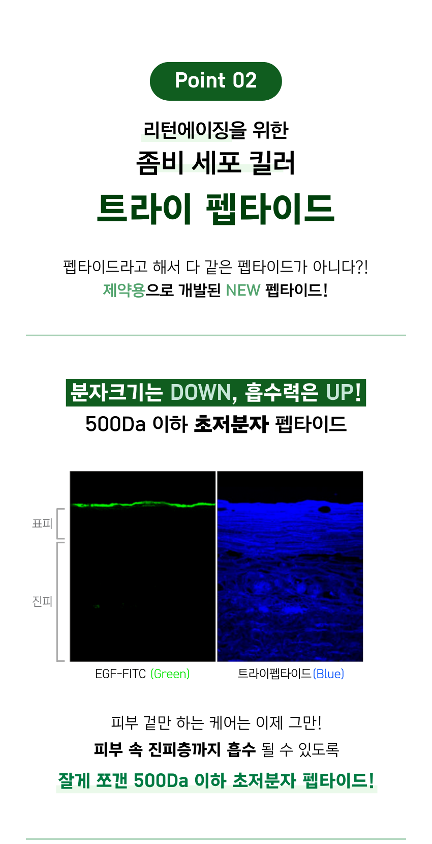 [06월 피부PT 루틴] 02 시카·티트리 앰플 50ml + 06 콜라겐 모공 타이트닝 앰플 50ml(+토너패드 + 세라마이드크림 본품 증정)