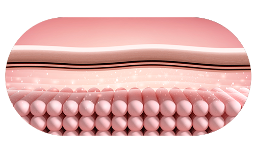 피부 속을 표현한 이미지