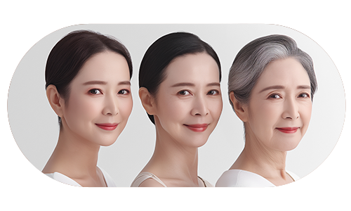 노화의 순서를 표현한 이미지