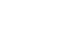 VPL
