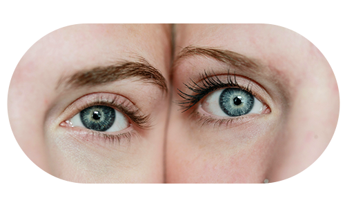 얼굴을 맞대고 있는 두 사람