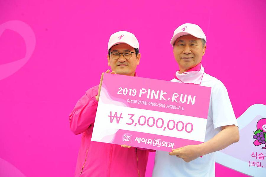 2019 핑크런 대전대회