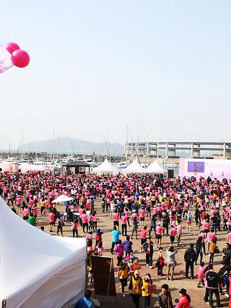 2013 핑크리본 사랑마라톤
