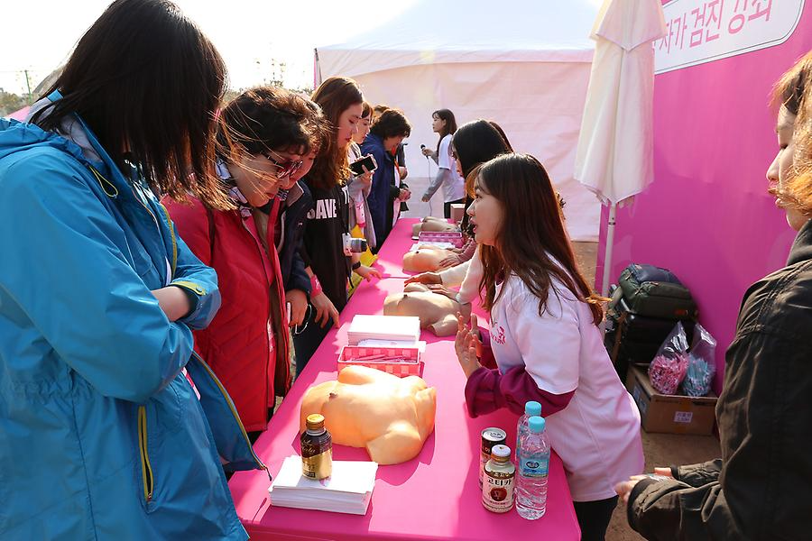 2017핑크런 마라톤 부산대회